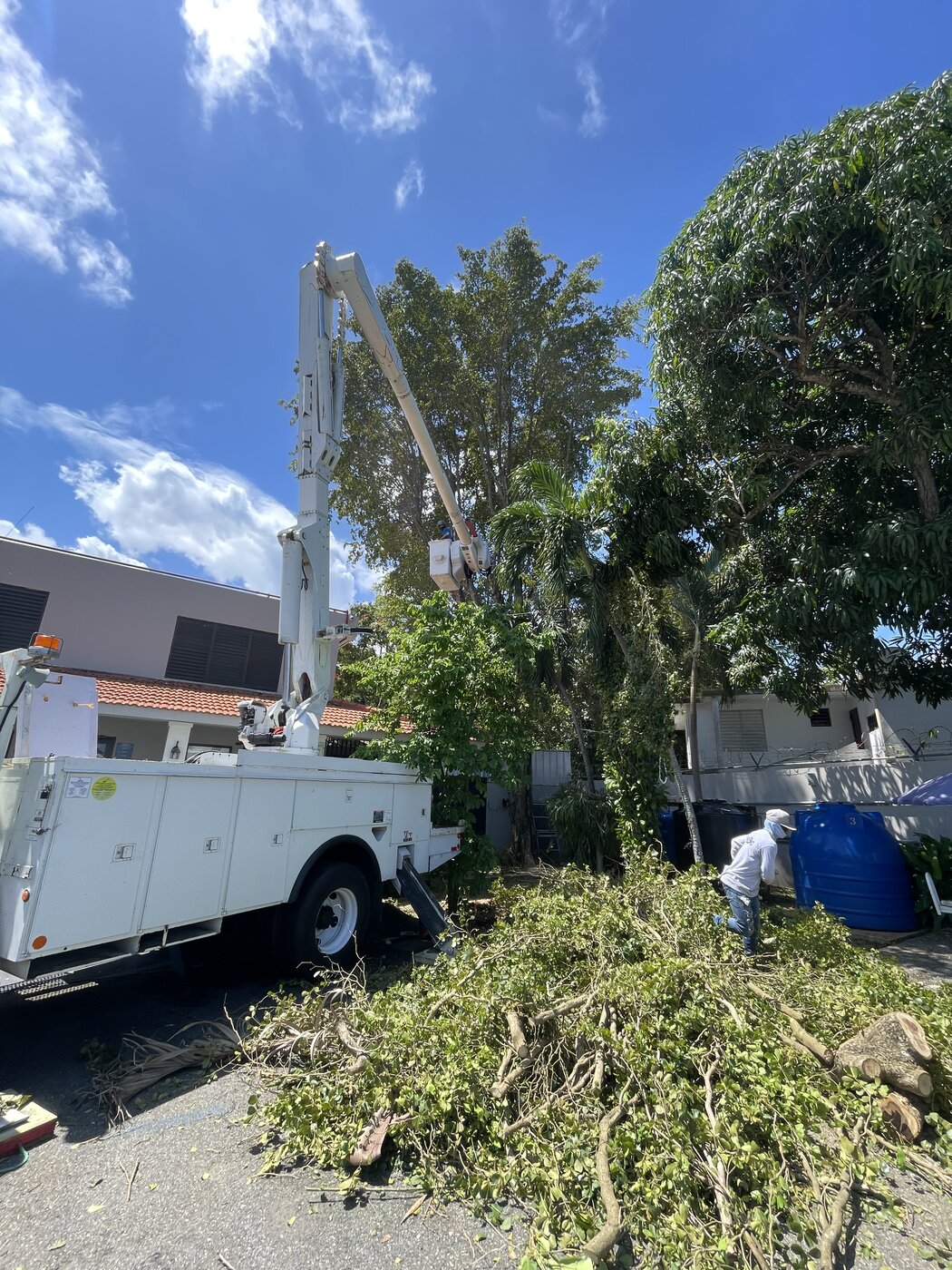 Camión canasto realizando poda técnica cerca de líneas eléctricas